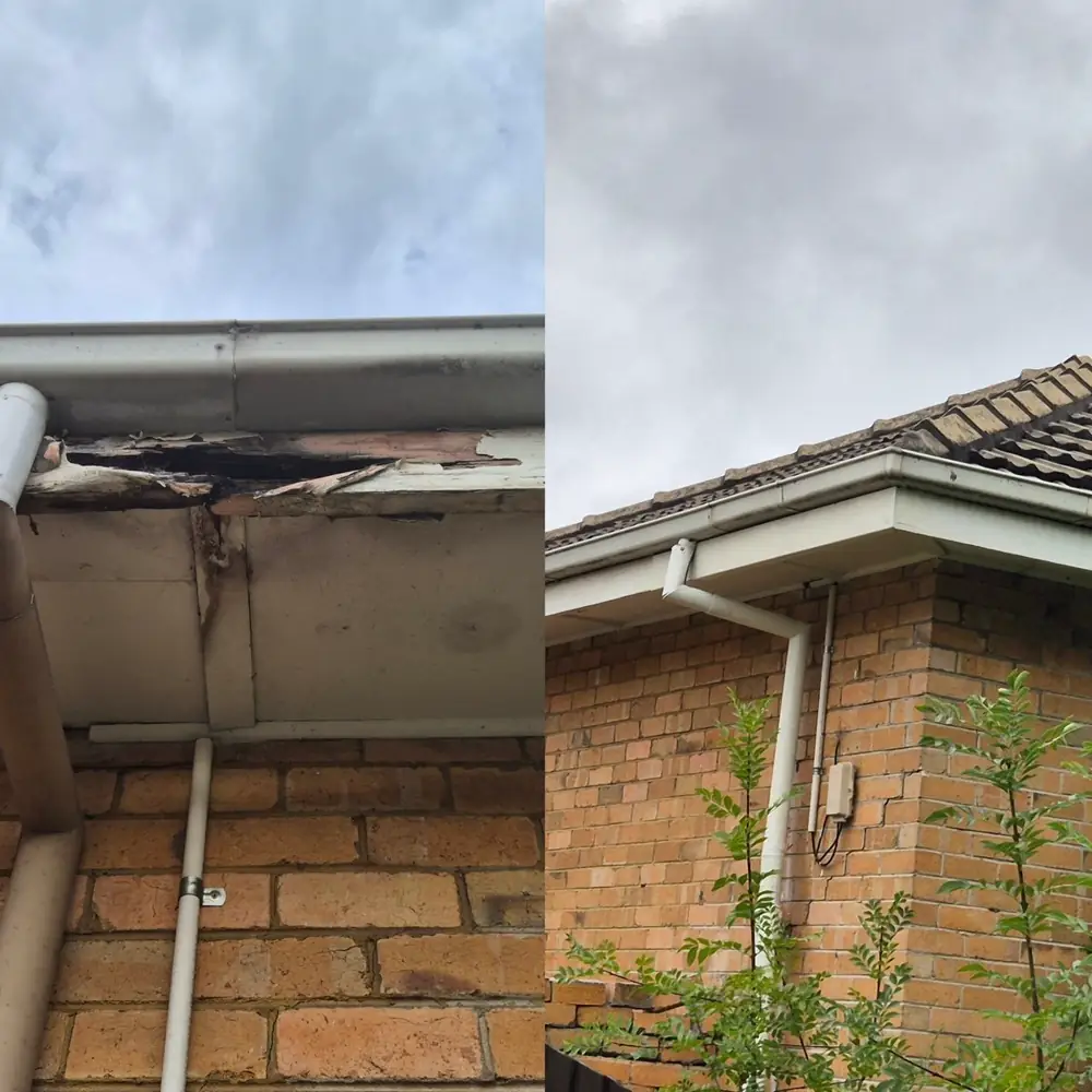 Fascia repair