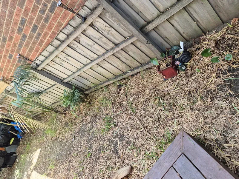 Outdoor area with dry leaves wooden fence decking and potted plants needing cleanup in Melbourne backyard